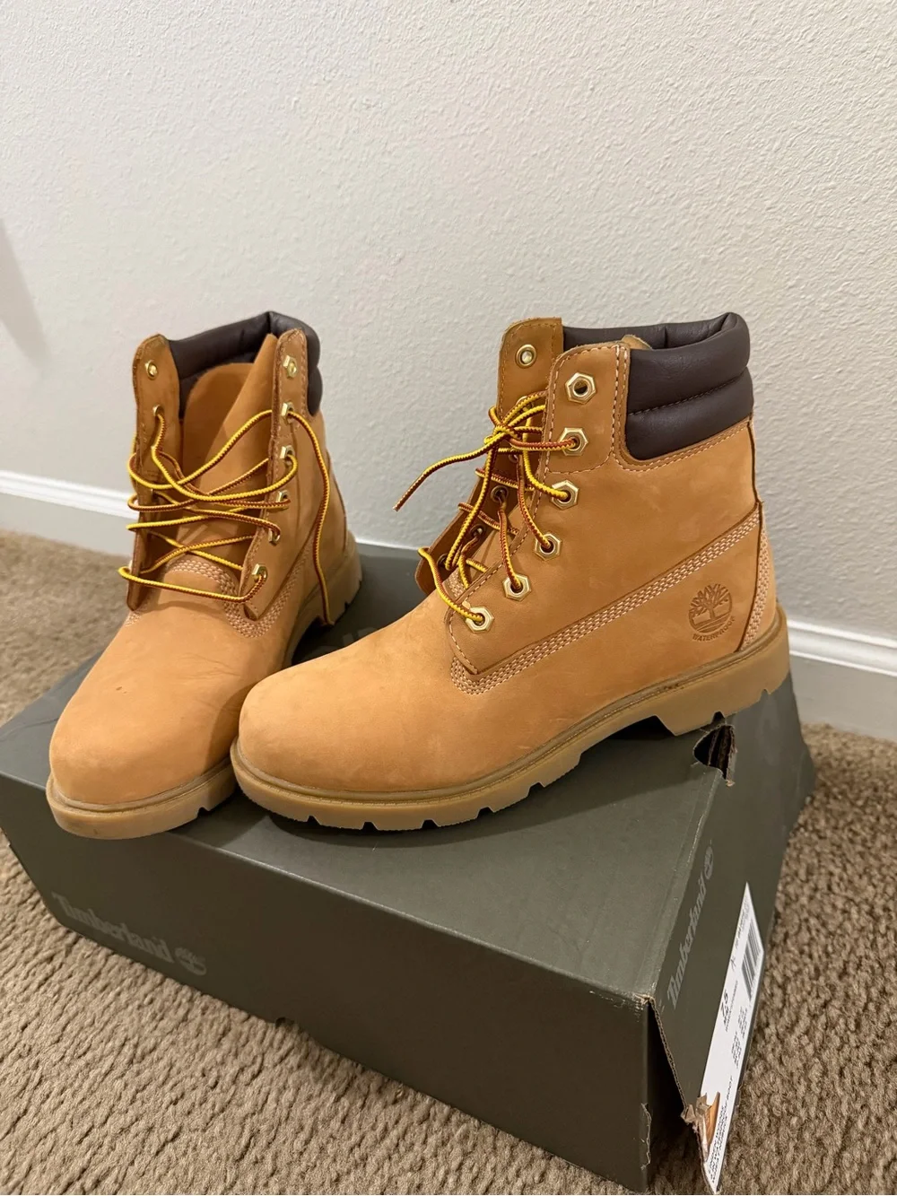 Timberland linden woods